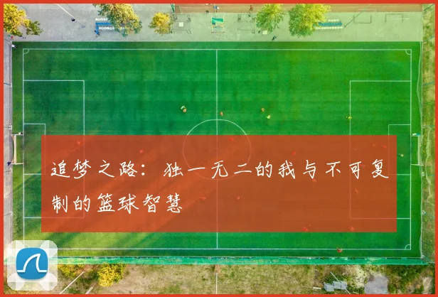 追梦之路：独一无二的我与不可复制的篮球智慧